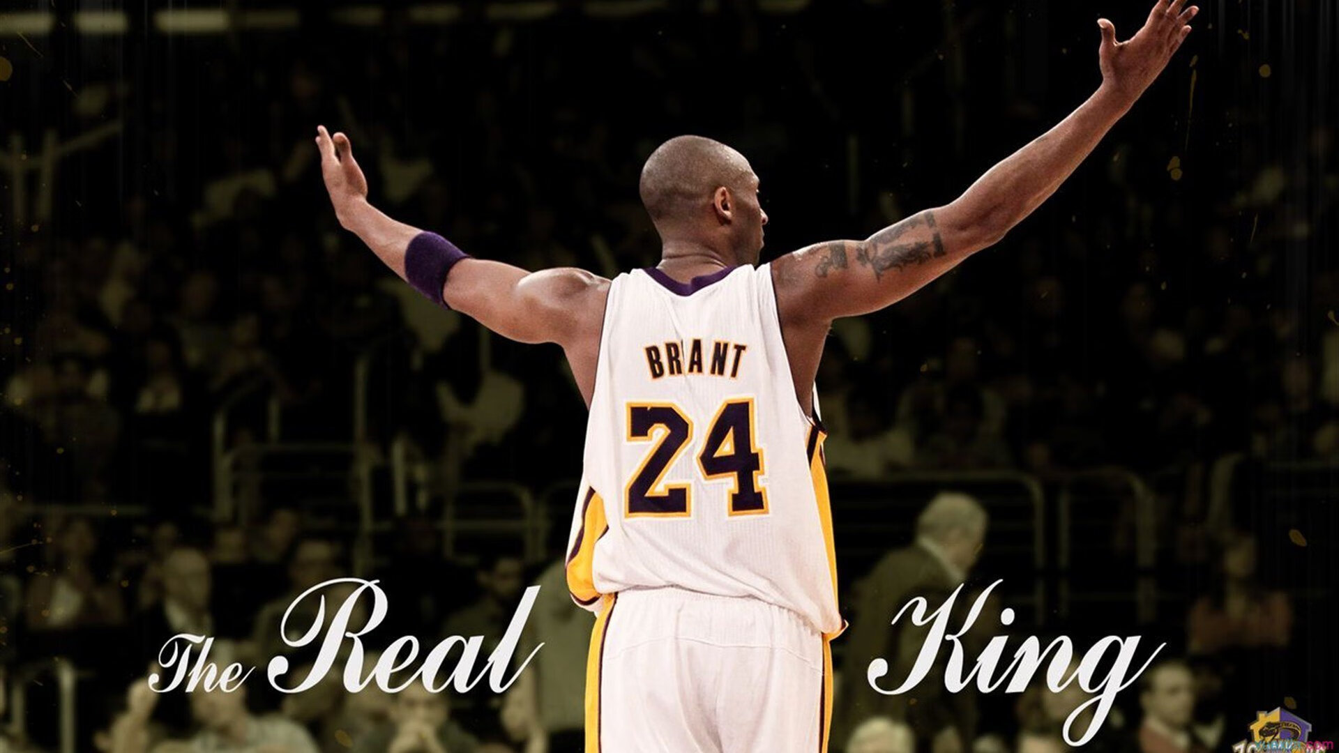 胡贝特·科斯决赛发挥超出预期，胡安贝坦科特